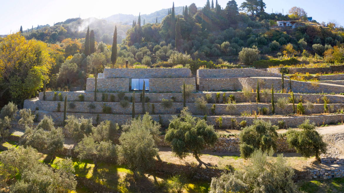 ΜΕΤΑXA WINERY IN SAMOS