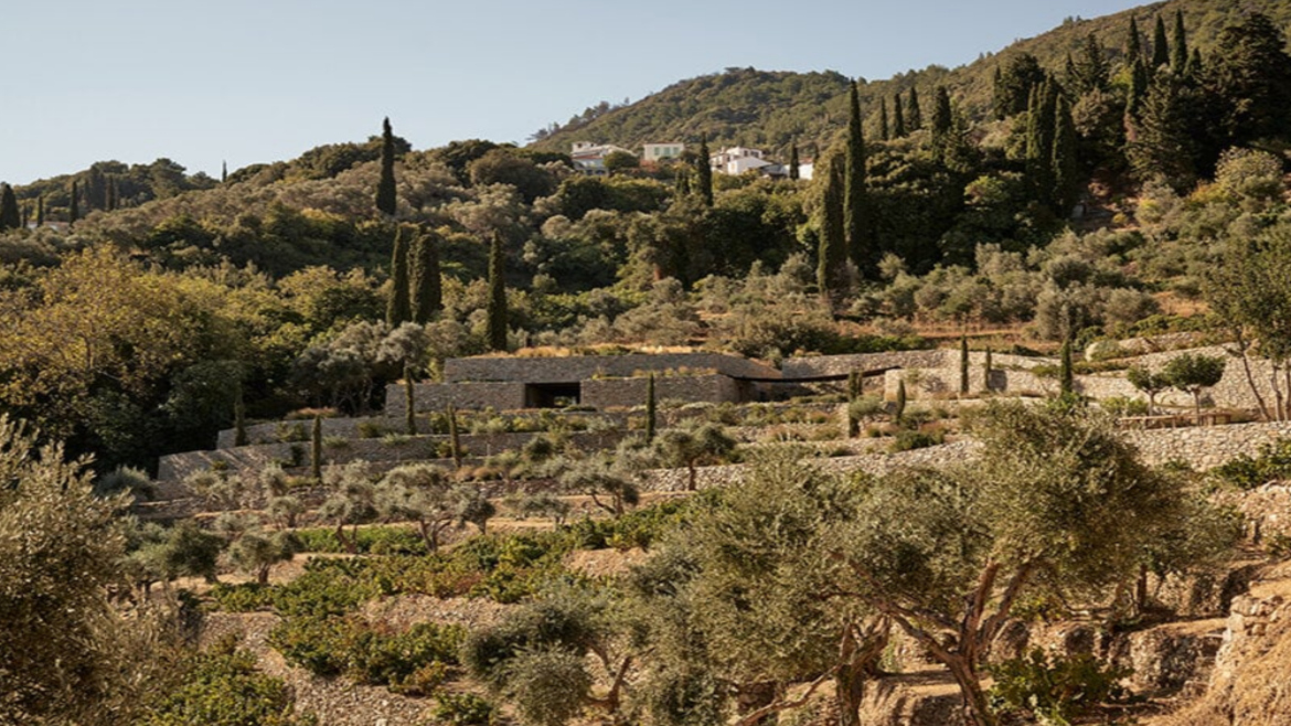 ΜΕΤΑXA WINERY IN SAMOS