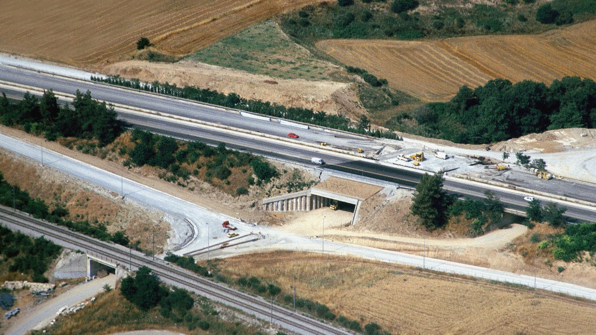 ΑΝΙΣΟΠΕΔΟΣ ΚΟΜΒΟΣ ΜΑΚΡΥΓΙΑΛΟΥ